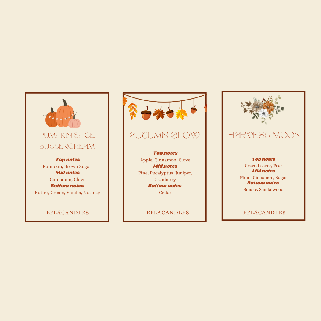 Mini Pumpkin Jar Candle – Cozy Fall Collection 🎃🍂